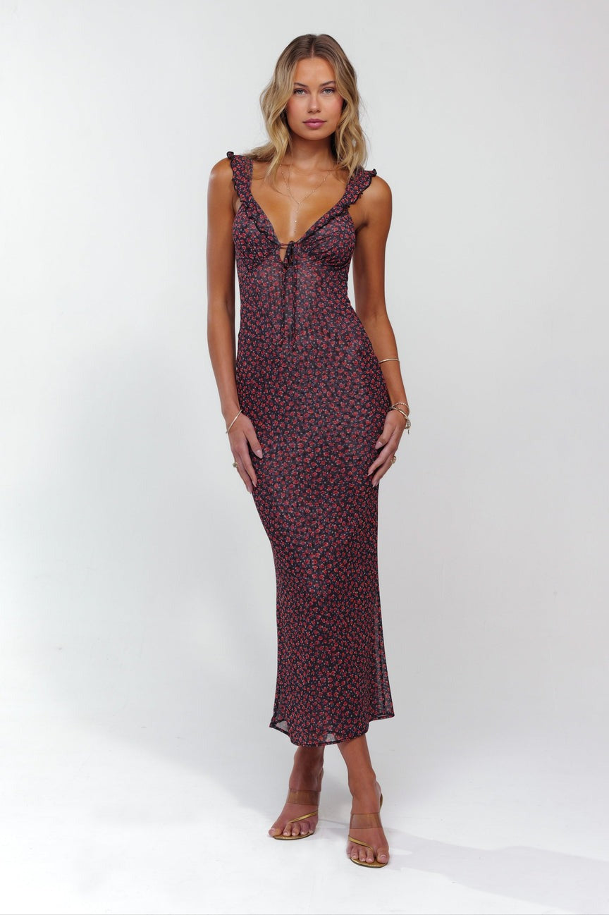 Goldie Dress in Besos